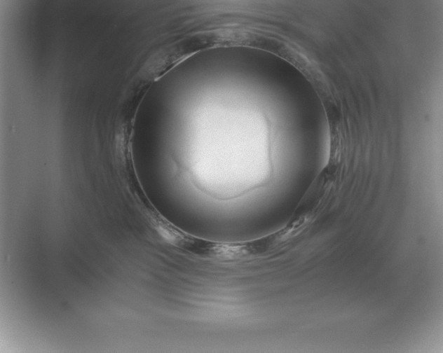 X0000071380333200607071848