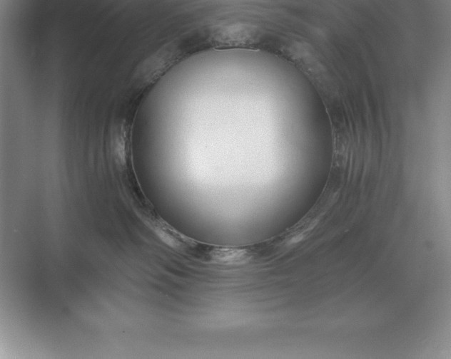 X0000071380334200607071848