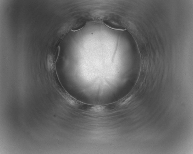 X0000071380335200607071848