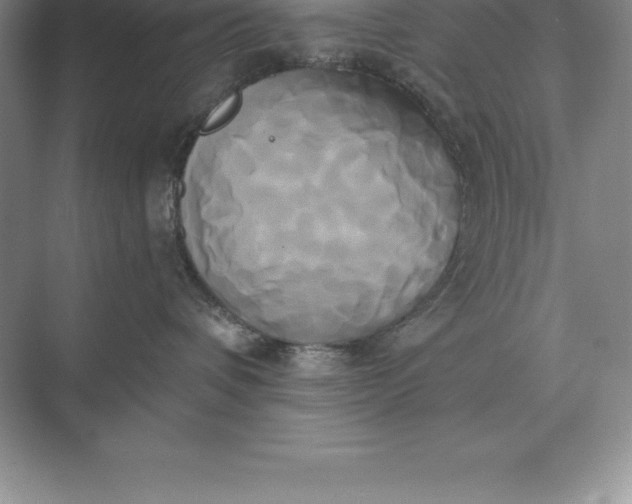 X0000071380336200607071848