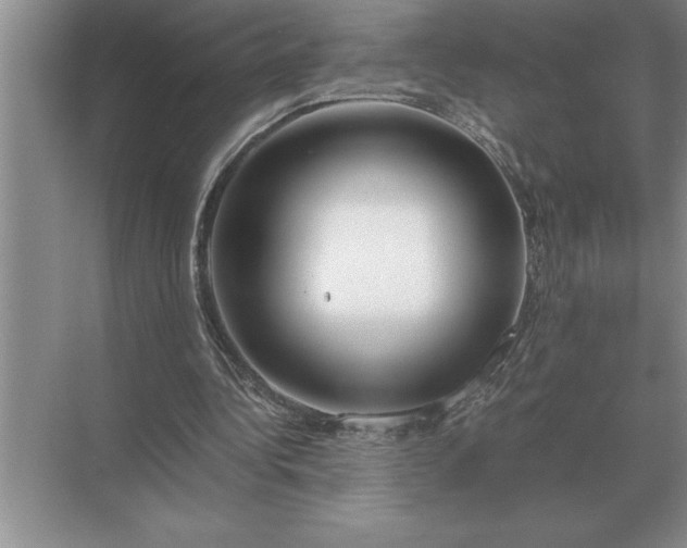 X0000071380340200607071847