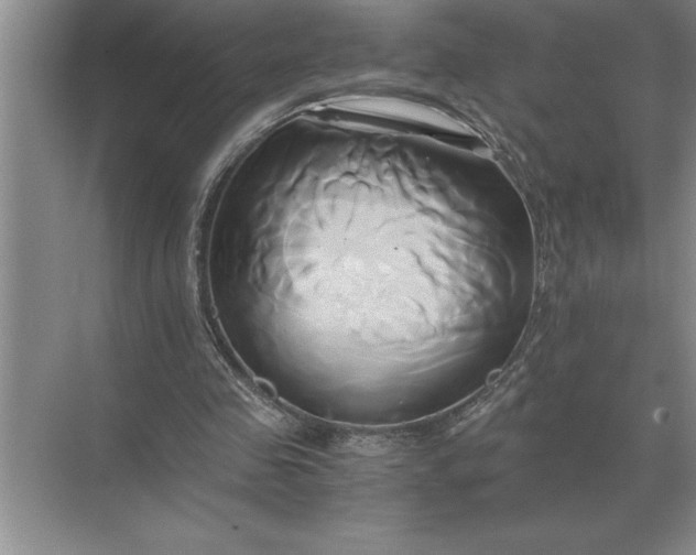 X0000071380341200607071847