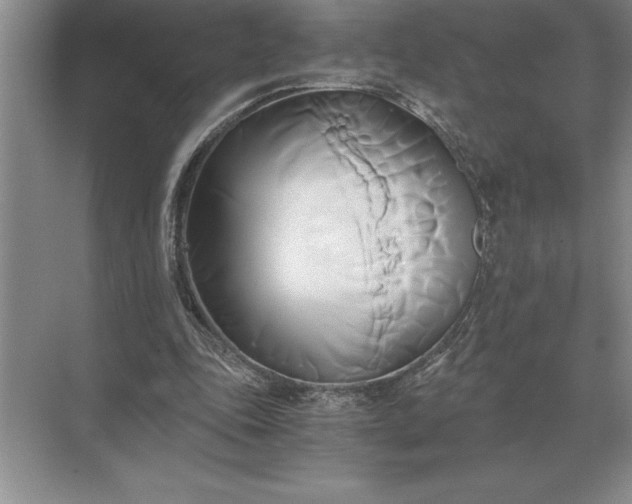 X0000071380343200607071847