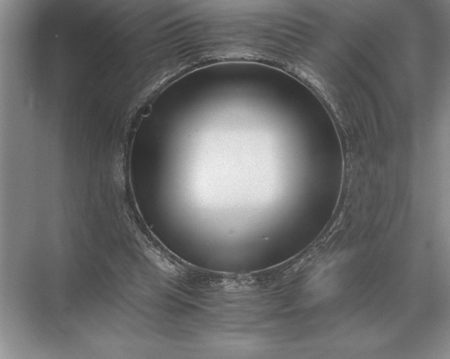 X0000071380345200607071847