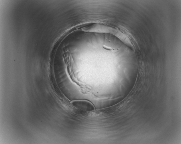 X0000071380346200607071847