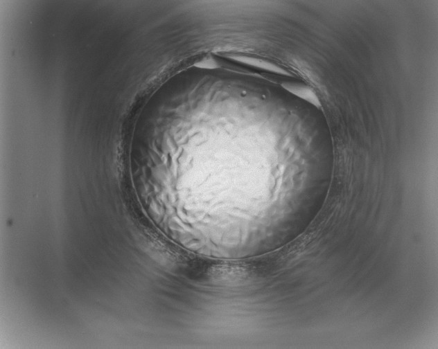 X0000071380354200607071847