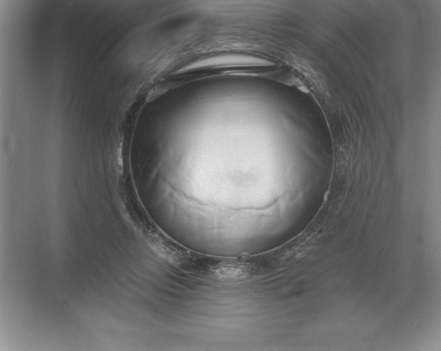 X0000071380358200607071847