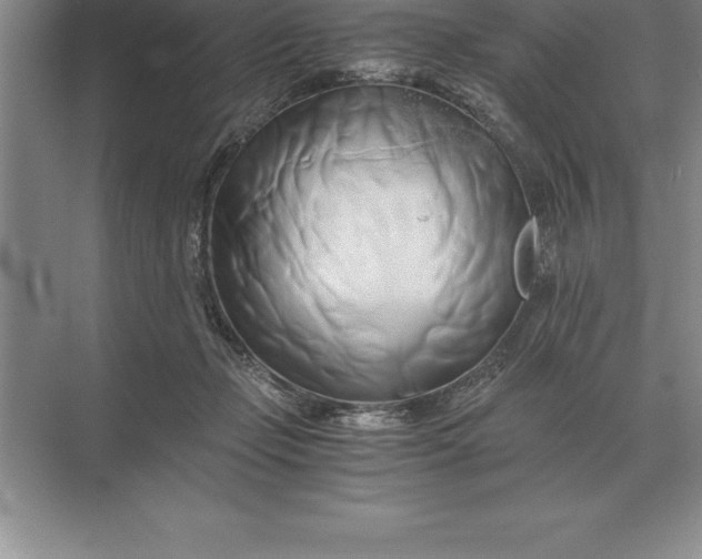 X0000071380365200607071847