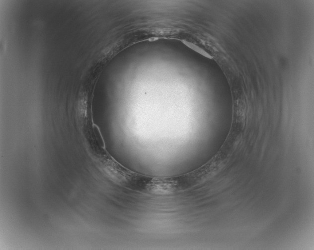 X0000071380368200607071848