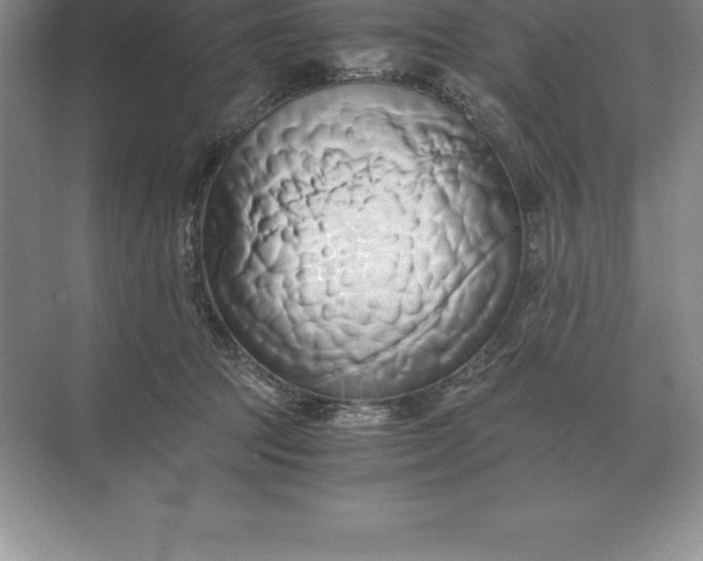 X0000071380369200607071848