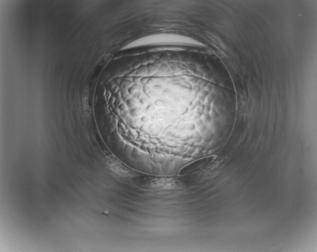 X0000071380377200607071848