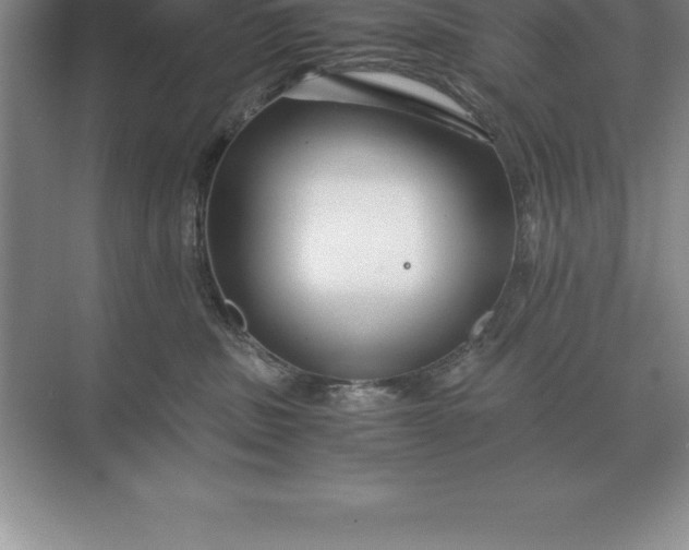 X0000071380379200607071848