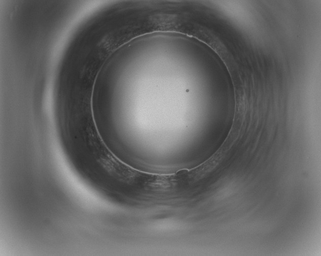 X0000071380383200607071848