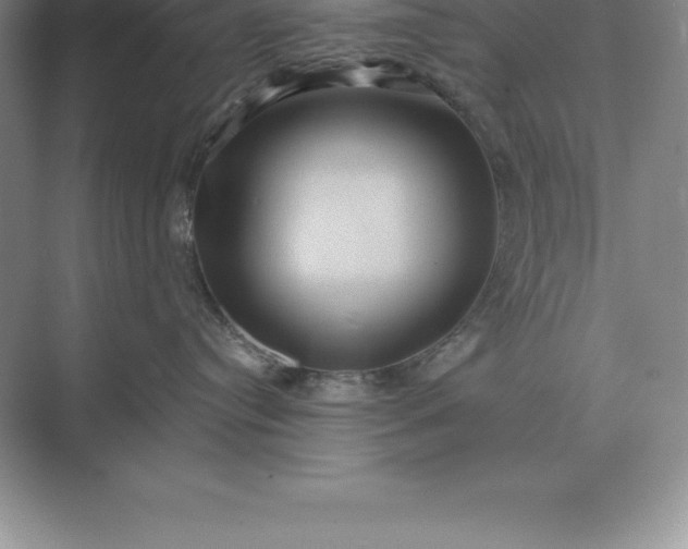 X0000071380384200607071848