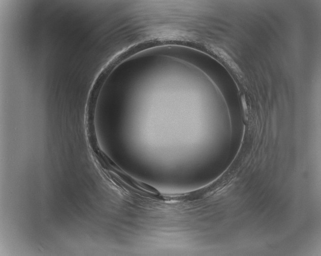 X0000071380391200607071847