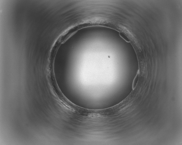 X0000071380392200607071847