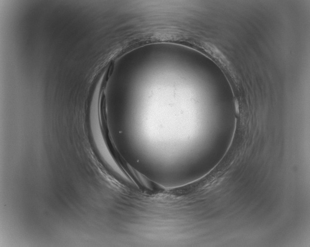 X0000071380393200607071847