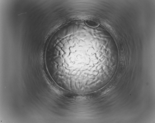 X0000071380394200607071847