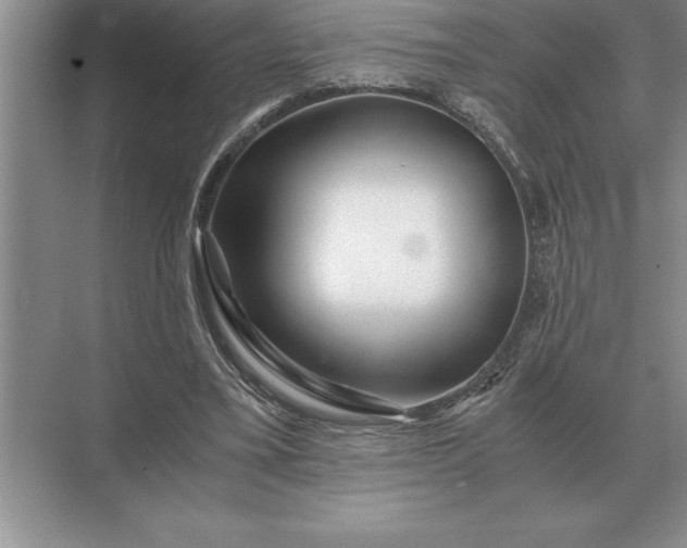 X0000071380395200607071847