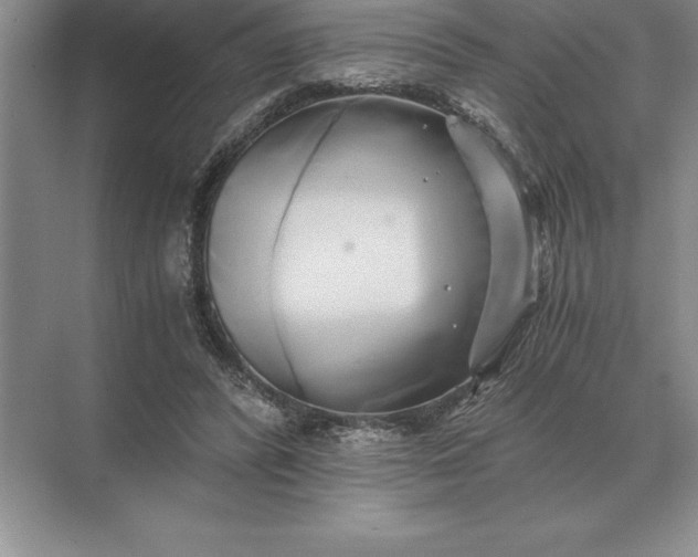 X0000071380400200607071847