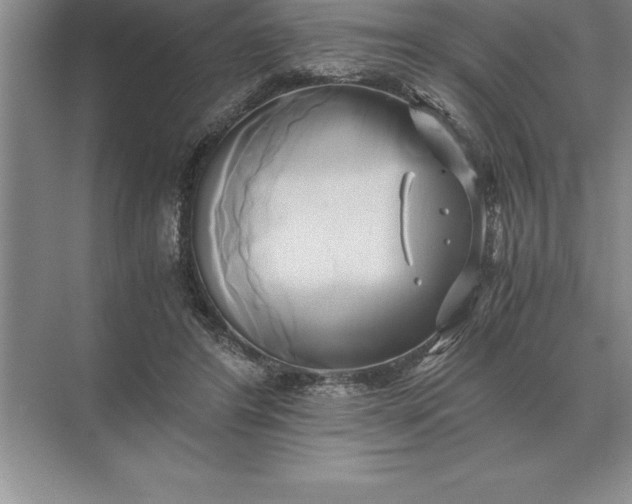 X0000071380404200607071847