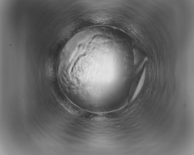 X0000071380408200607071847