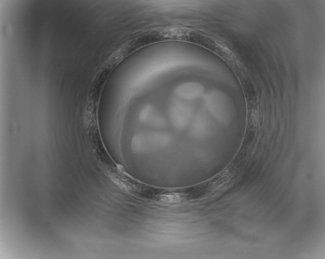 X0000071380411200607071847