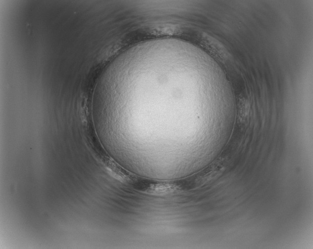 X0000071380414200607071847