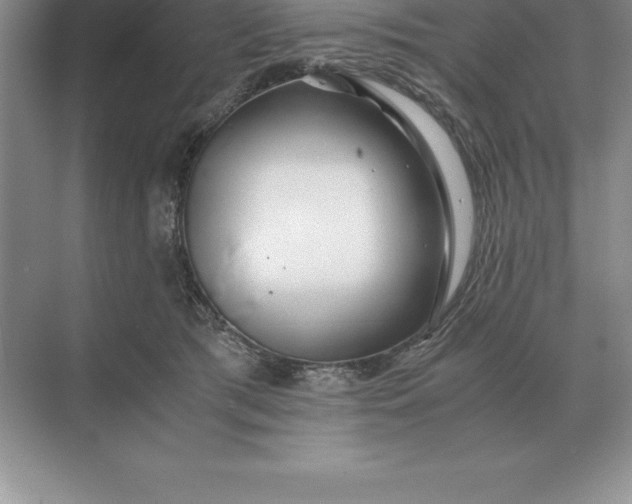 X0000071380417200607071846