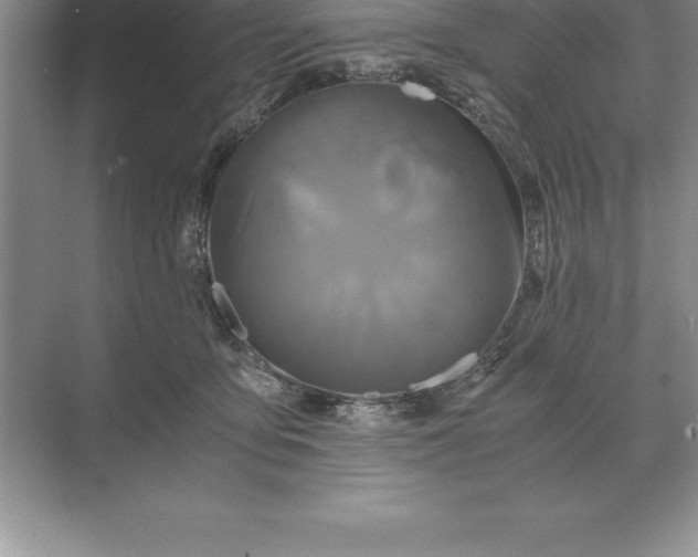 X0000071380419200607071846