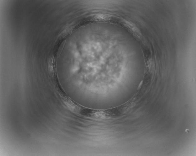 X0000071380423200607071846