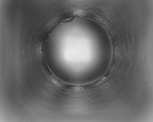 X0000071380424200607071846