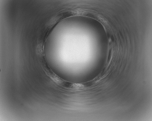 X0000071380429200607071846