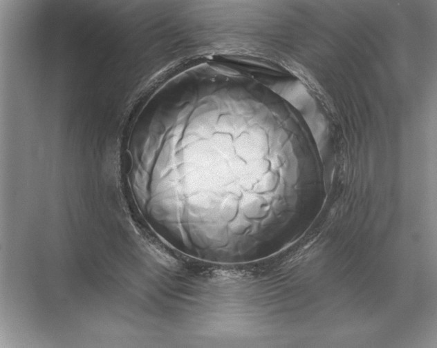 X0000071380442200607071846