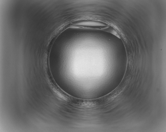 X0000071380445200607071846