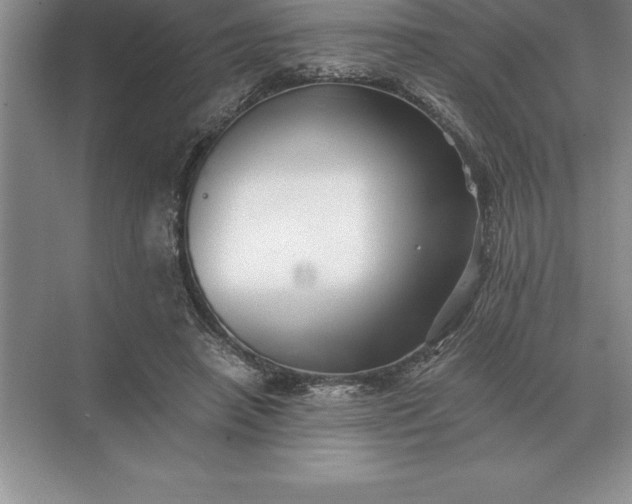 X0000071380450200607071846