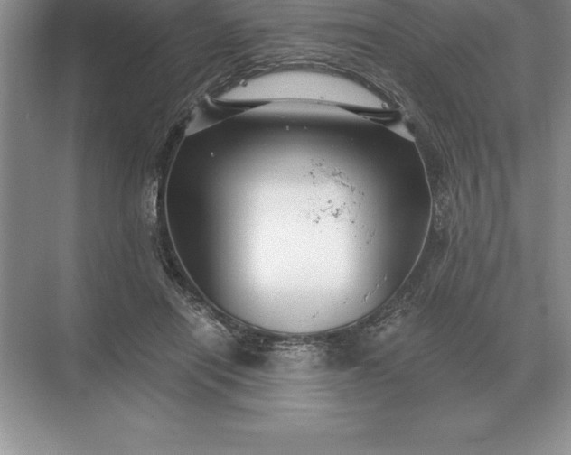 X0000071380454200607071846