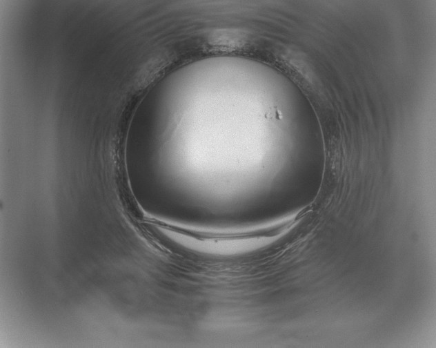 X0000071380455200607071846