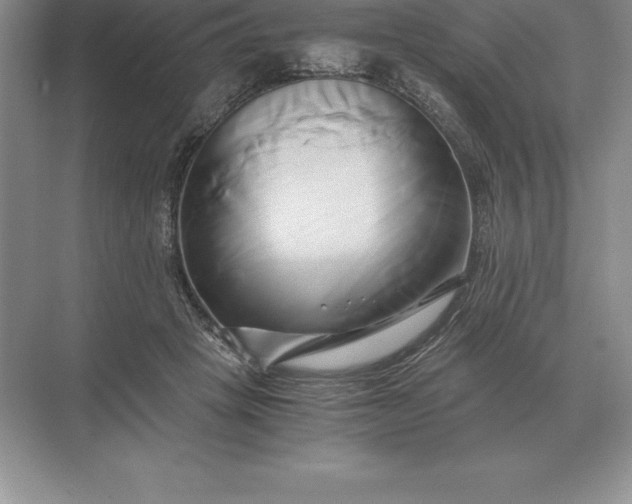 X0000071380457200607071846