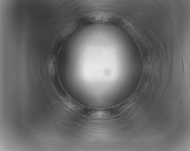 X0000071380460200607071846