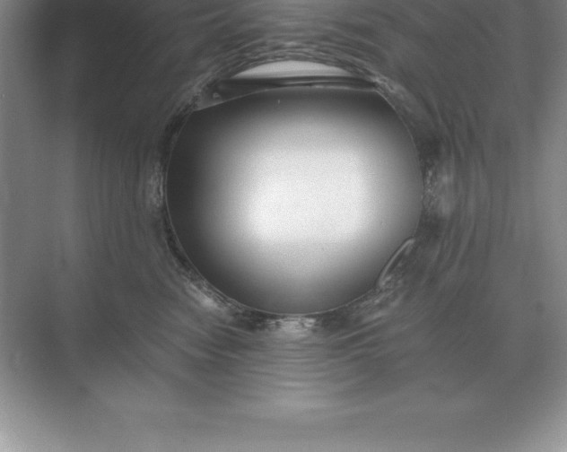 X0000071380474200607071846