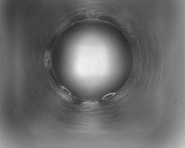 X0000071380480200607071846