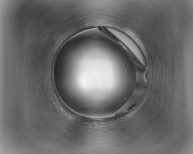 X0000071380481200607071845