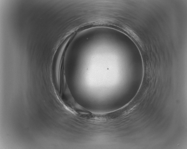 X0000071380485200607071845