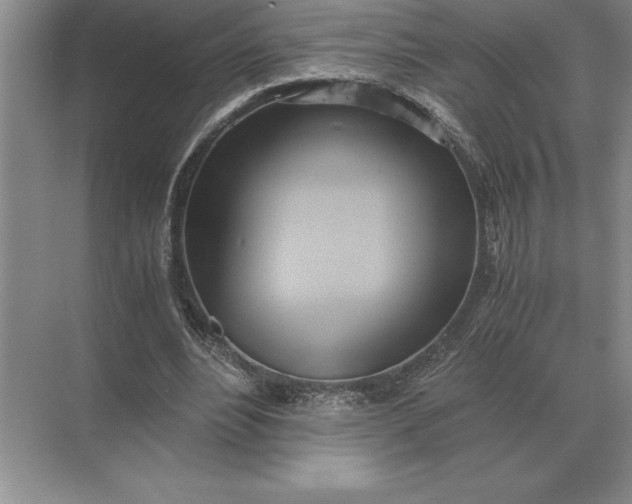 X0000071380488200607071845