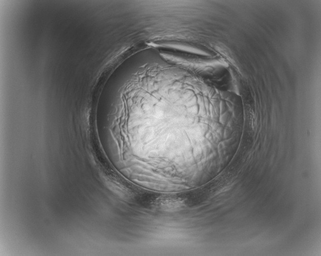 X0000071380491200607071845