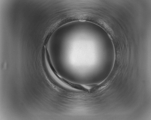 X0000071380493200607071845