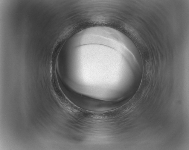 X0000071380494200607071845