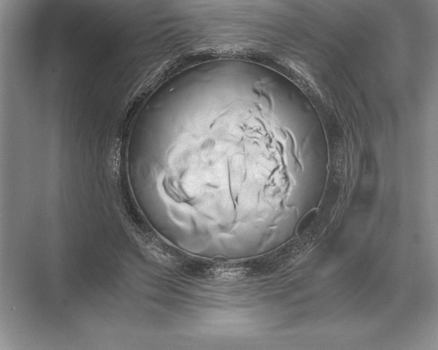 X0000071380495200607071845