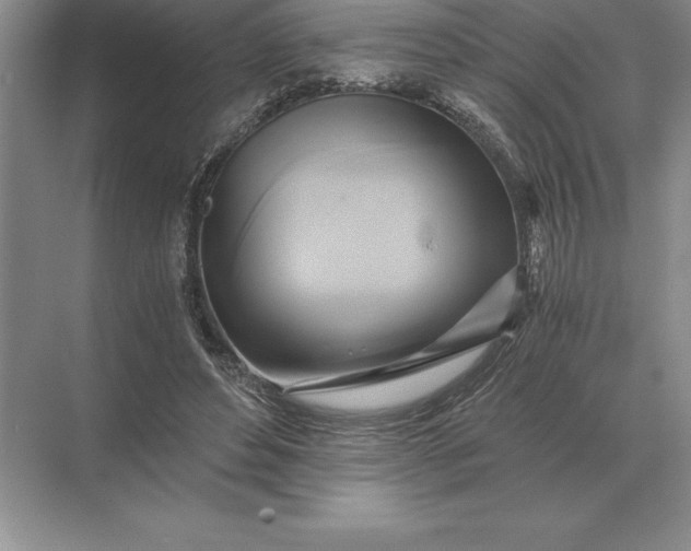 X0000071380496200607071845